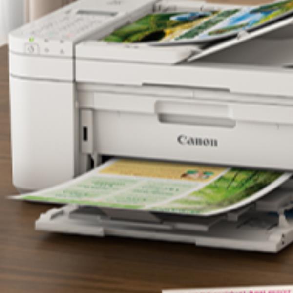 Canon PIXMA TR4751i - Stampante multifunzione - colore …